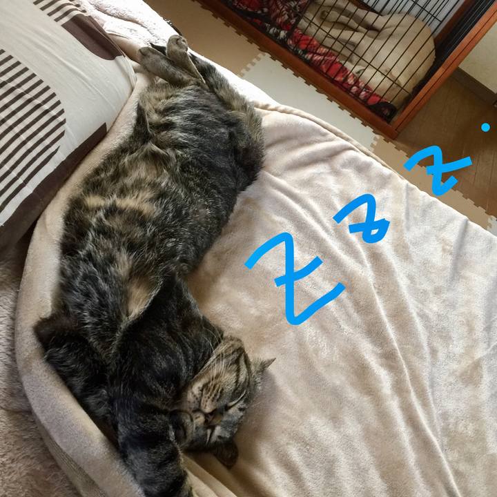 8421e54d c470 4abe 91a3 8affcbfa86f6