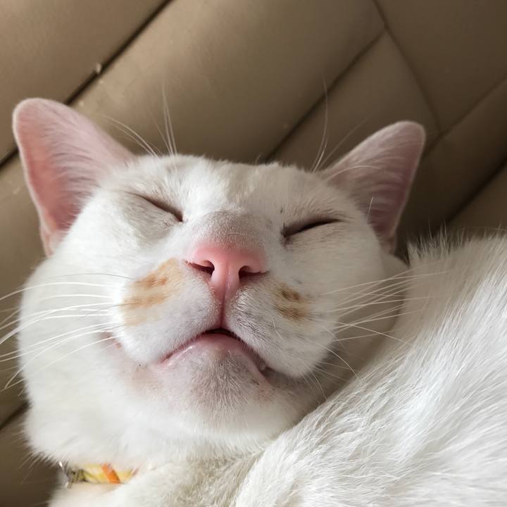 8422f0cb b559 4384 89bb 8ead855c0c58