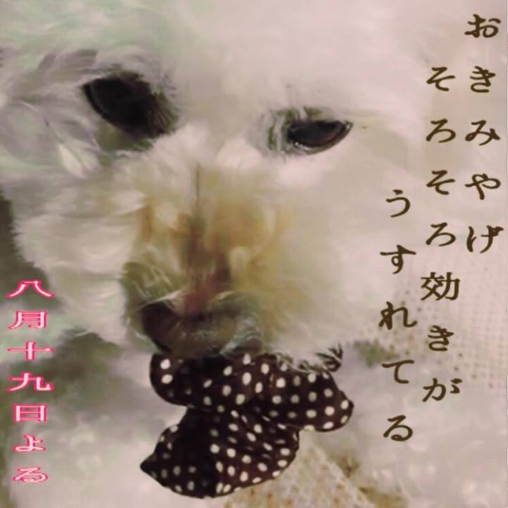 8423157b 83cd 4d26 9b01 9a0f8a6d44e5