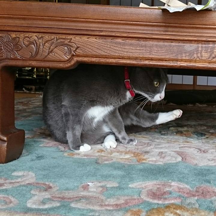 84231a04 f7af 476c 8a75 b24a173c8f63