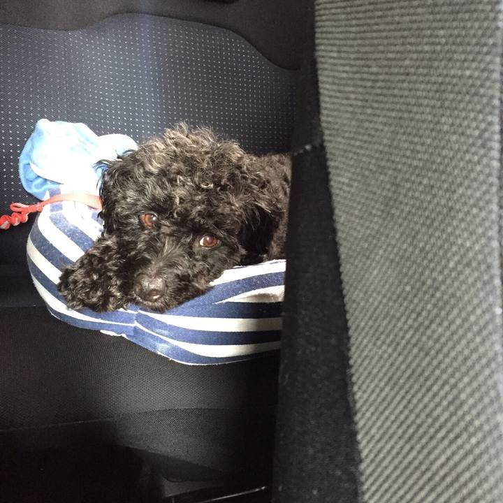 842361c1 89f2 444c 81ae cca0af0f5760