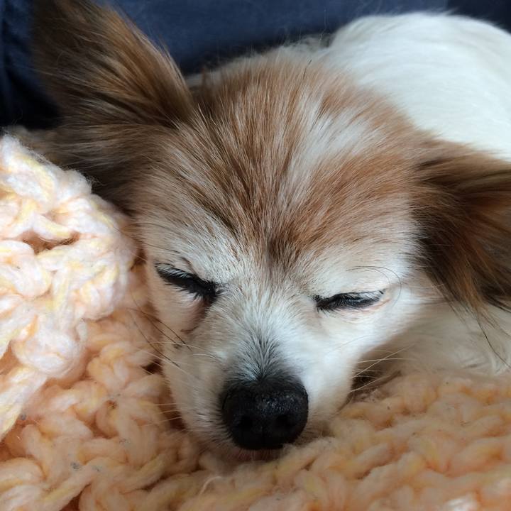 84236aed e308 444d 9a95 be4f4576aab7