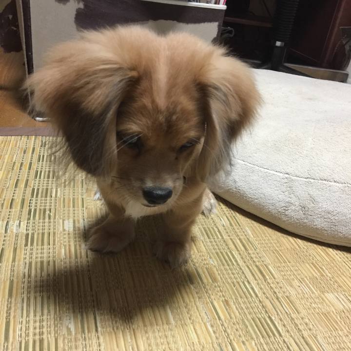 8423726f 04cc 4c2c 9dd6 d749bd85c4ad