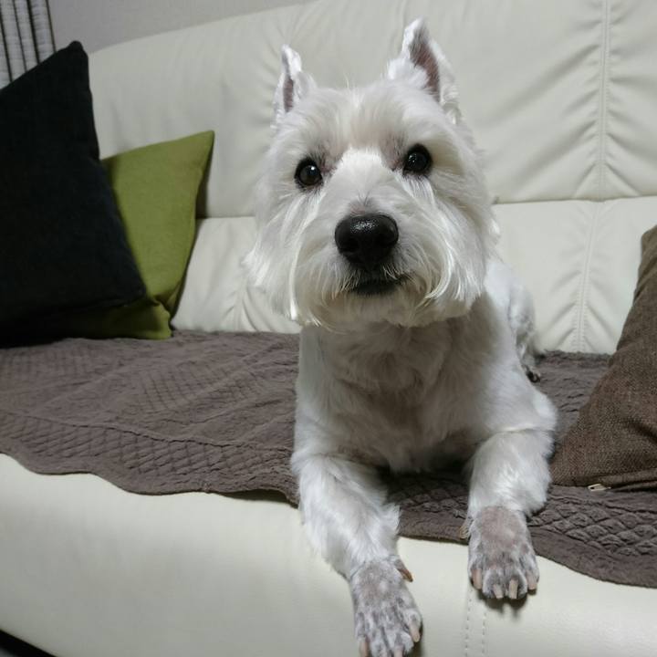 84239c78 142e 41a6 8501 ba0b91d79621