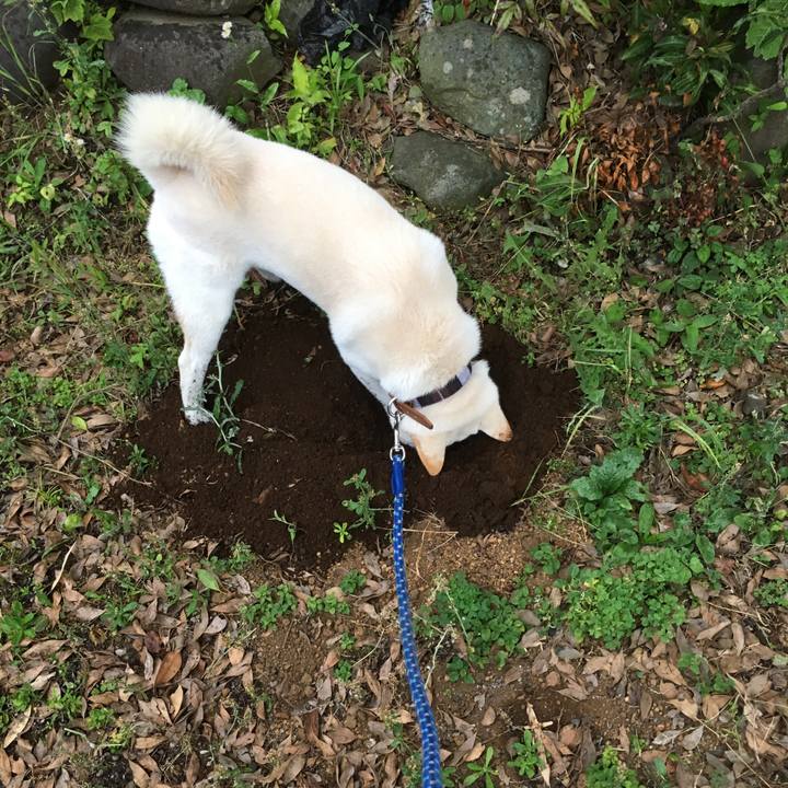 8423bb97 ba68 4691 8ccc 1fbd837836cd