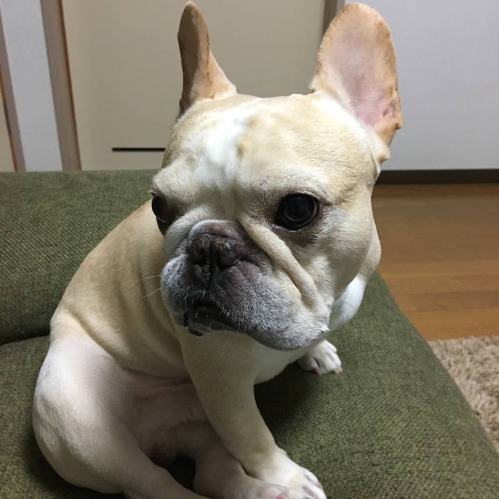 8423f54f a27a 4c01 95dc 6acae3f80277