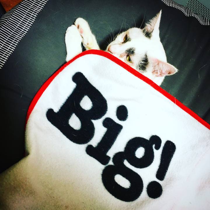 842511ae bd52 42c1 8fdc b0ddc4bbee00