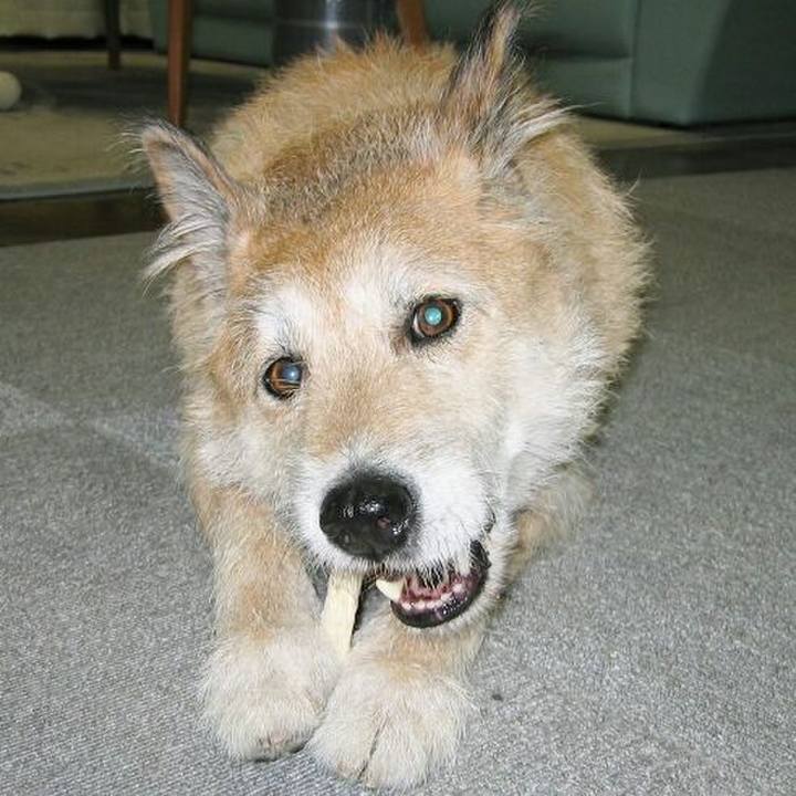 8425bedb efc6 4a3c aefa 8c19b4c06009