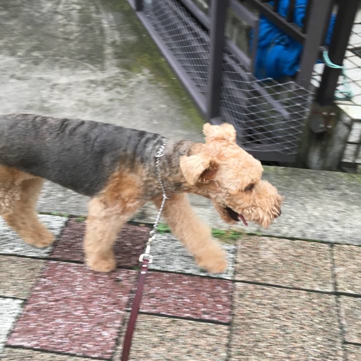 8425e523 1af4 4819 8a02 477dae480cb3