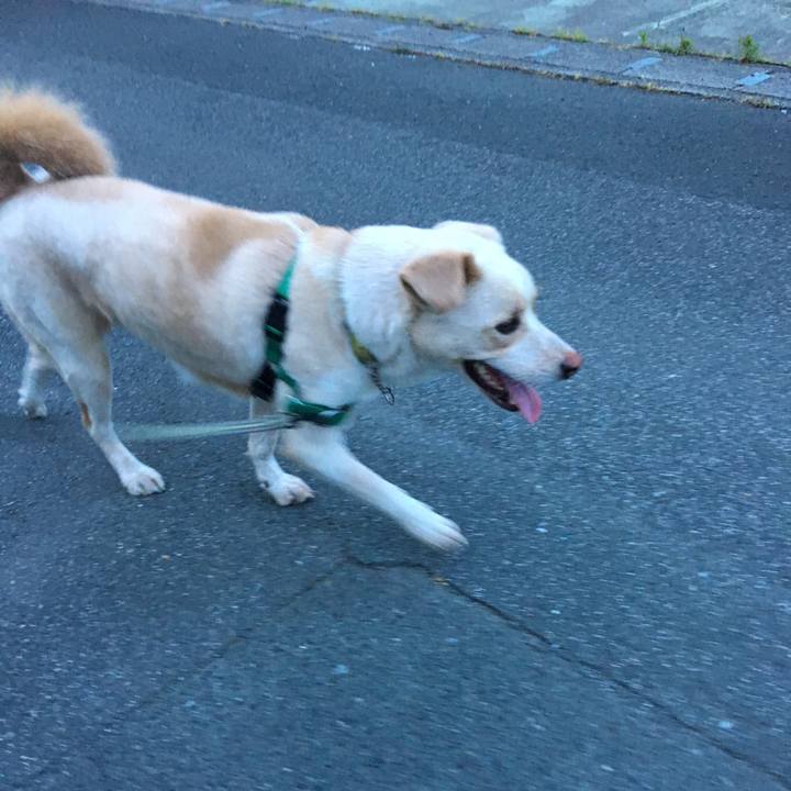 84260836 8ec6 4498 bac6 9cac3e3d8af6