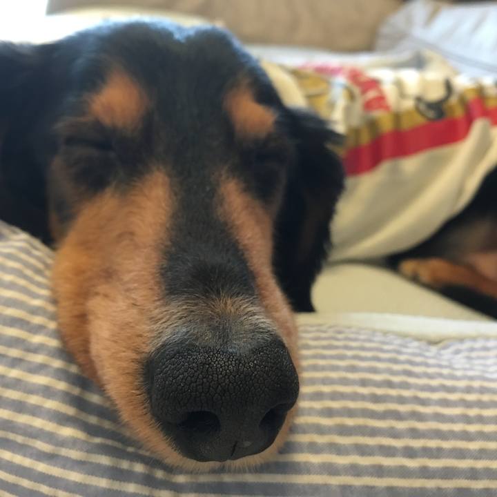 84262e0d beb5 43a7 89a9 cb8f3aa67a79