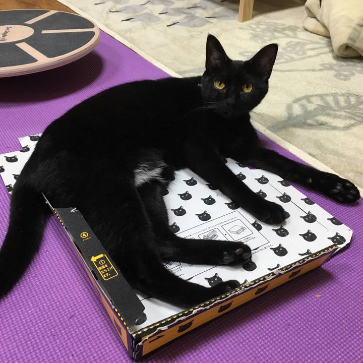 842633d9 f16d 4c61 9771 6856b034f107