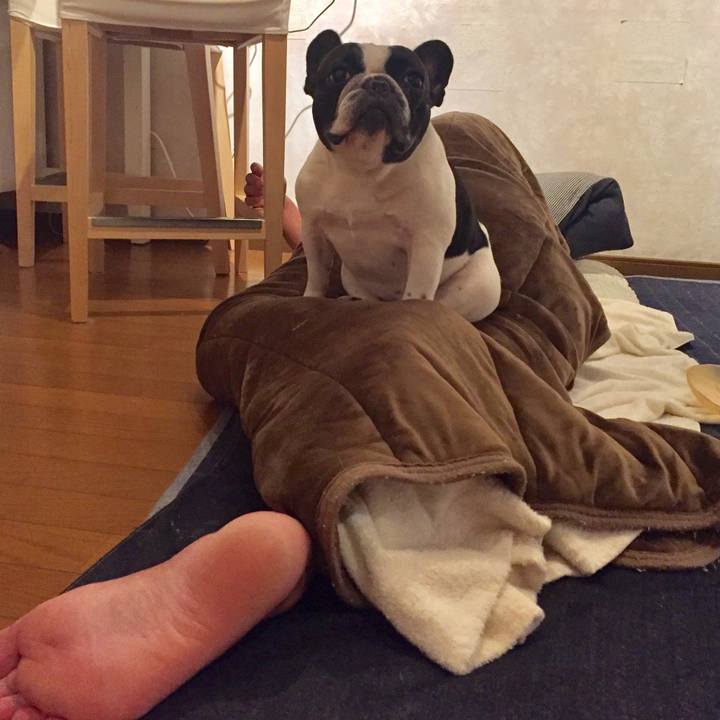 842682cd 710b 4c2c bd75 1acbd949b863