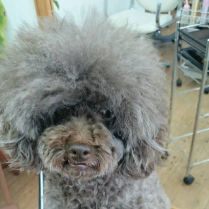 84269b64 4a42 432d b2e9 6c4951b3775b