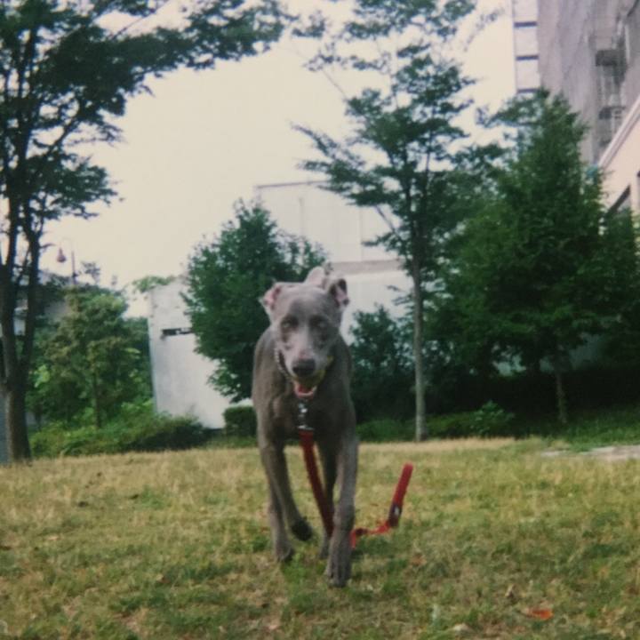 84275c7a c6d9 4f26 996f 84182a3a1778