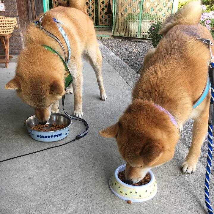 84277666 09d2 4ce2 ba39 e31b945e8a6f