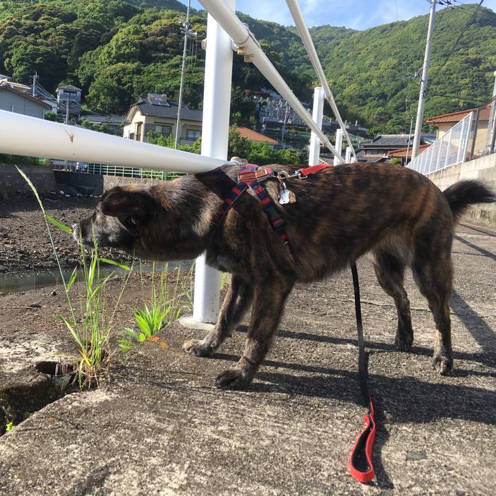 8427b006 a876 4422 b272 c492a3ba99a0