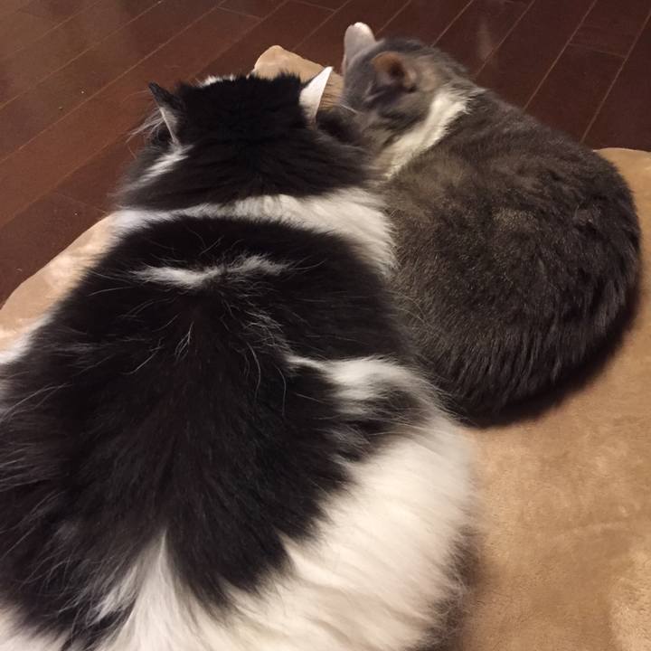 84282362 7023 45e9 8217 119ed94d6729