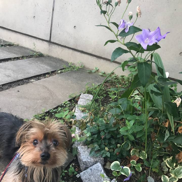 842a1ad2 47e2 469c 9ec2 a8bff2a6ee23