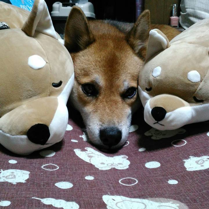 842a30ca 3df8 4cef b932 4b55d057eab0