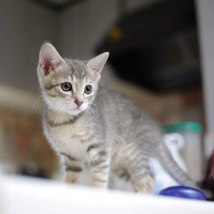 842a8409 cbbd 4cc1 80c9 c2e5cd822e71