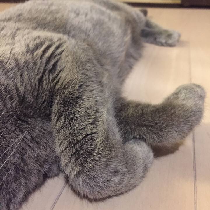 842ab75d a20b 4286 a348 727540f5a69d