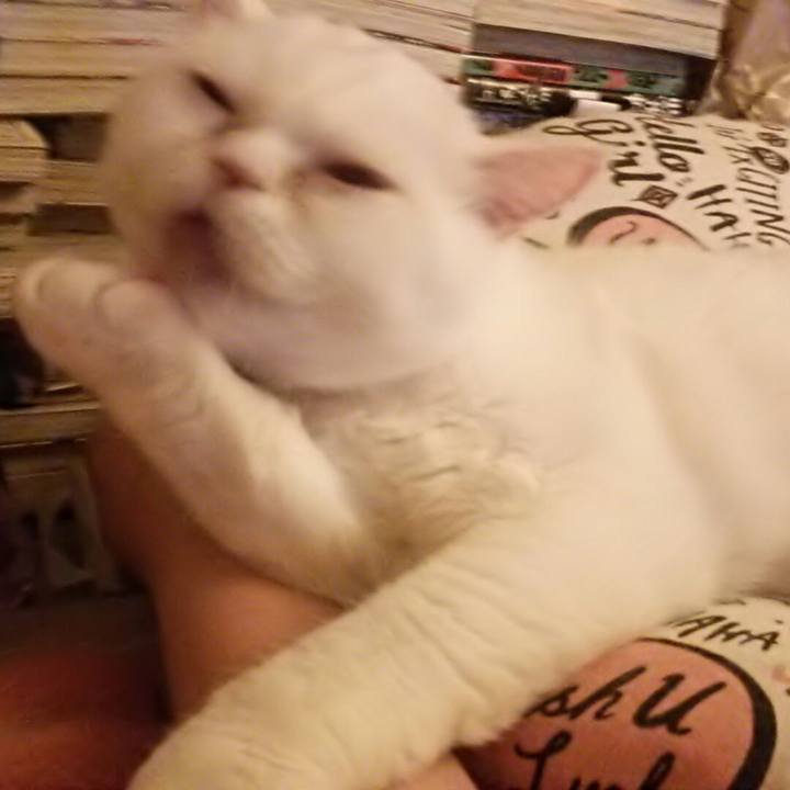 842b79d5 7212 4434 9734 2019579f21cb