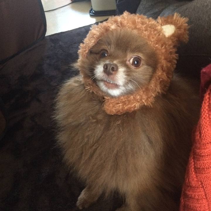 842bc976 dc7b 46d0 af65 473fa660675a