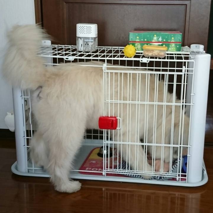 842c3f73 3525 4aee bdcd 630ac5365e4c