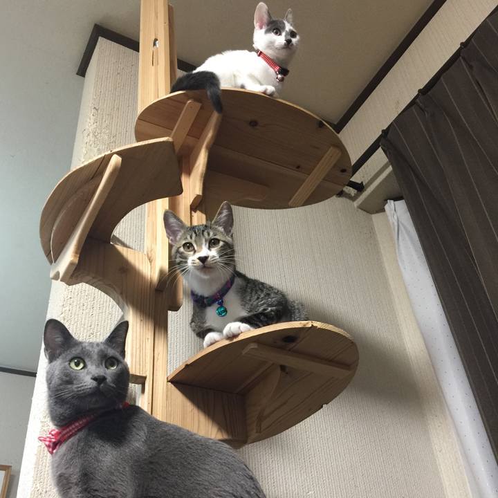 842cbd84 22e8 4d7c bde4 46e7ac056e84