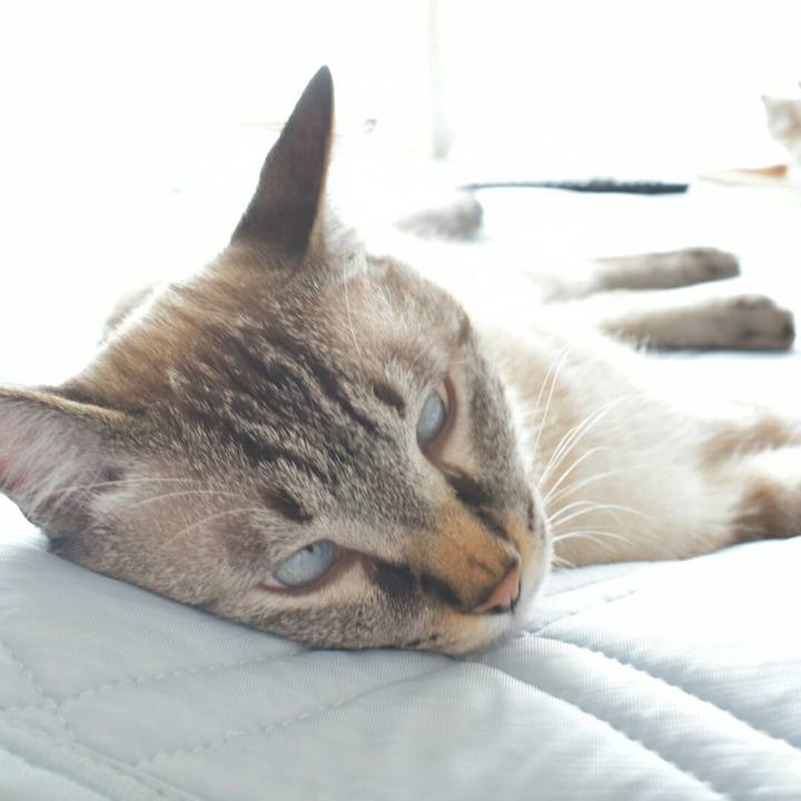 842ce332 a30d 408b 8076 3435fb1698a9