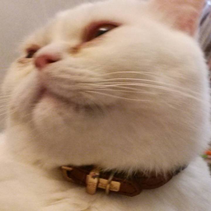 842cef71 24da 42cf a14c bea4d273bf79