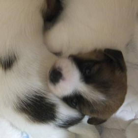 842d3522 390d 41b2 8d97 e9bae26bbfbe