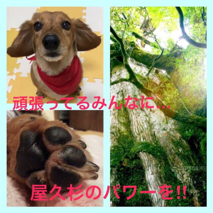 842d4e21 e920 409e 8637 4824f688d655