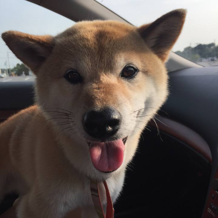 842d6f56 b27b 47e8 b03a 89d65bcc0528