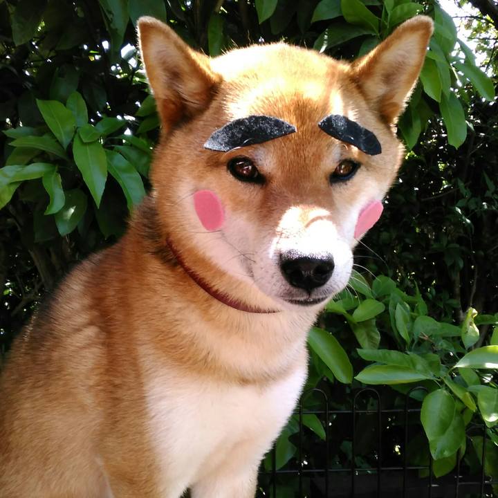 842da3c3 167f 4410 b56a 29e04dde4479