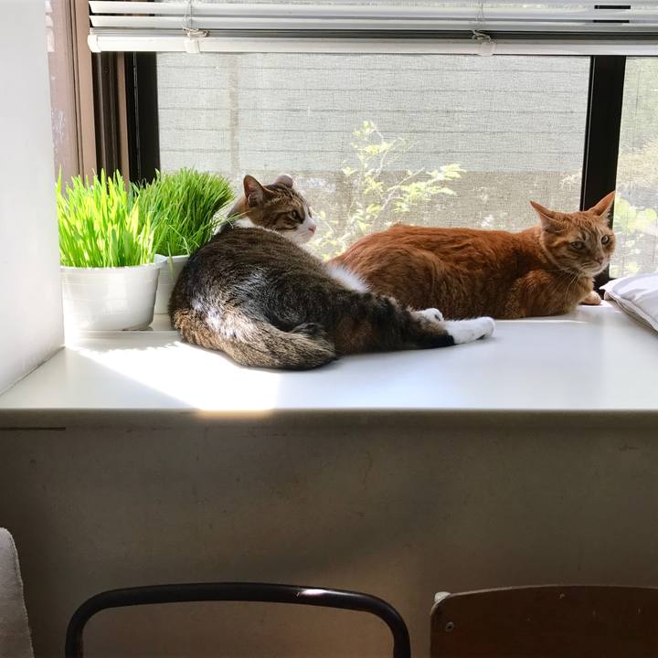 842da95e c848 4405 b0f3 2d38d41d57c1