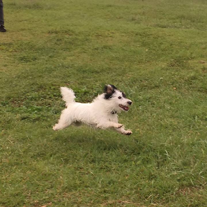 842deca6 25ec 444e 8b74 98e0984f2b21