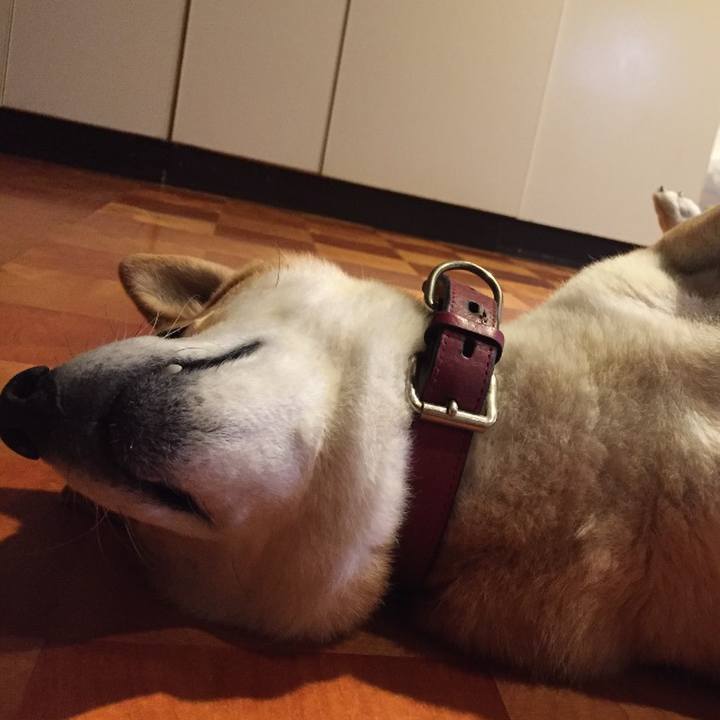 842df86d 7c74 47a0 9a78 f97390e637b4