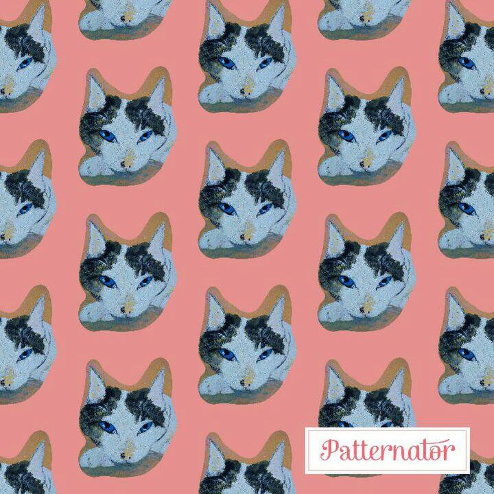 842e30e6 a81a 465d 8f88 46e71744fdaa