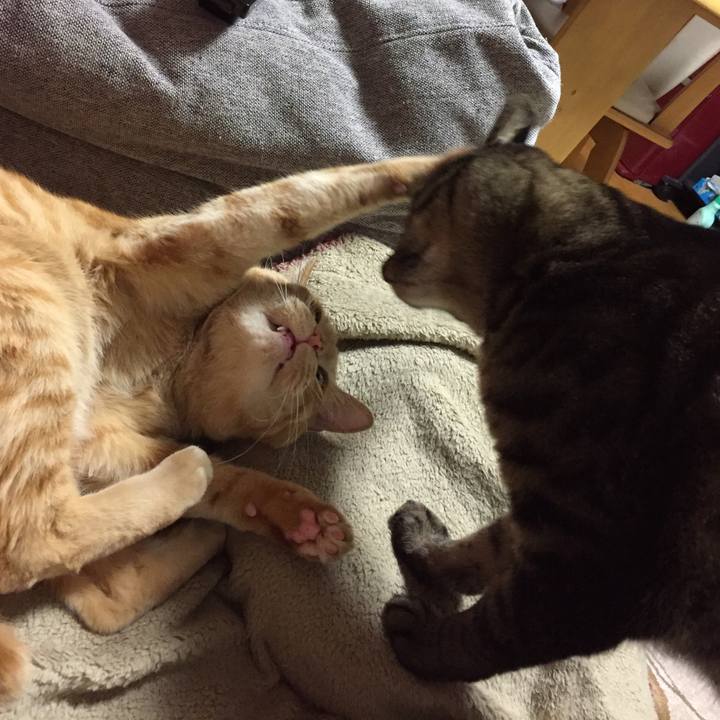 842e418e ba89 41da 9137 898386cbddde