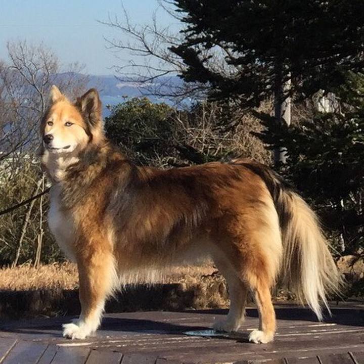 842ea244 0838 4be0 9578 05959cc9488b