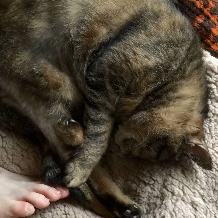 842efe00 524a 45a9 b43f 6f79687c0ab8