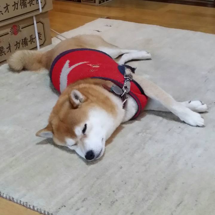 842f240e fd95 45bd a264 774885d7070e