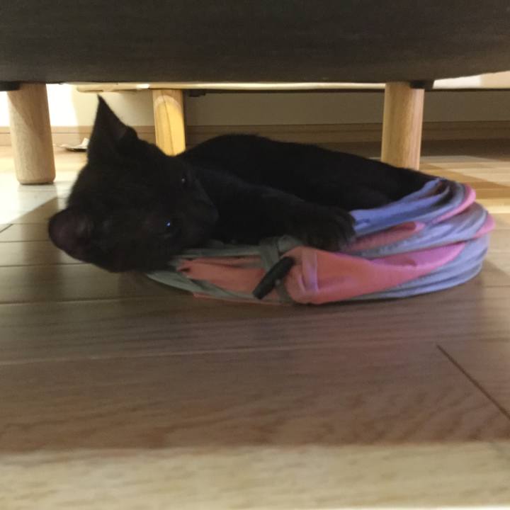 842fb6f2 5bf3 4518 941a 5998f484d835