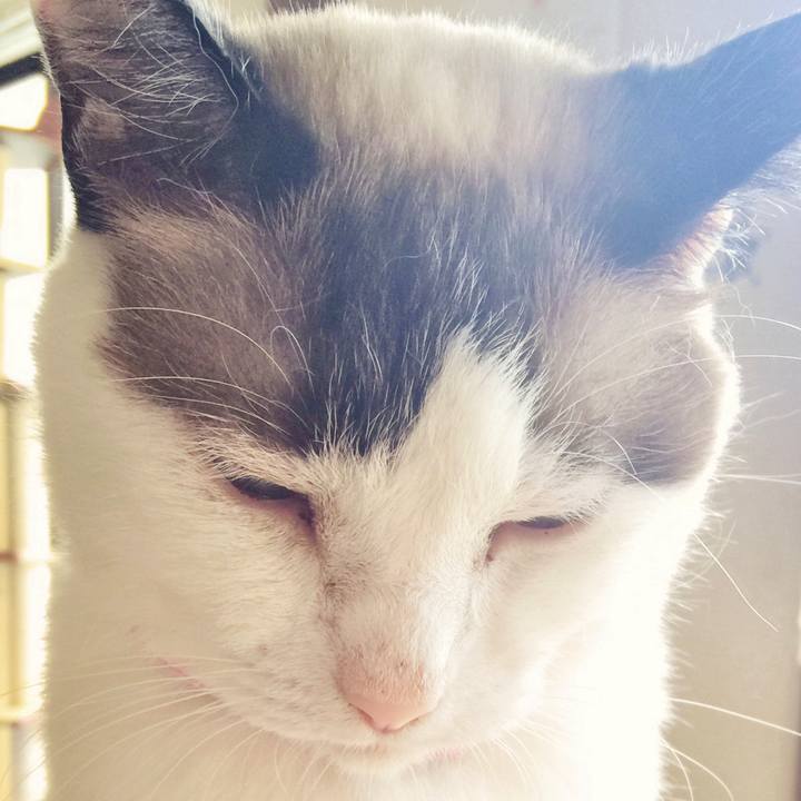 842fc23f 8bd3 4426 9d59 f36857a2bf39