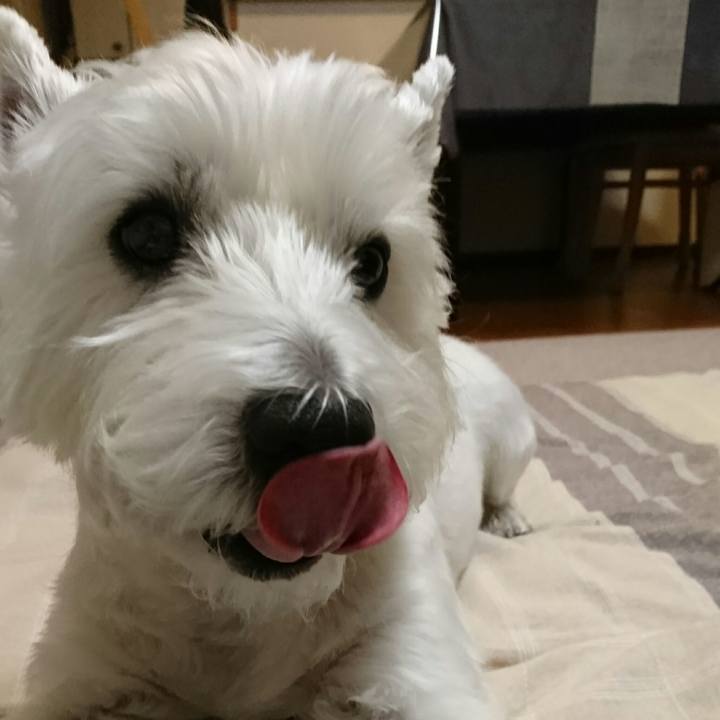 843111ee f2a5 4063 8bf2 927efc7f00bf