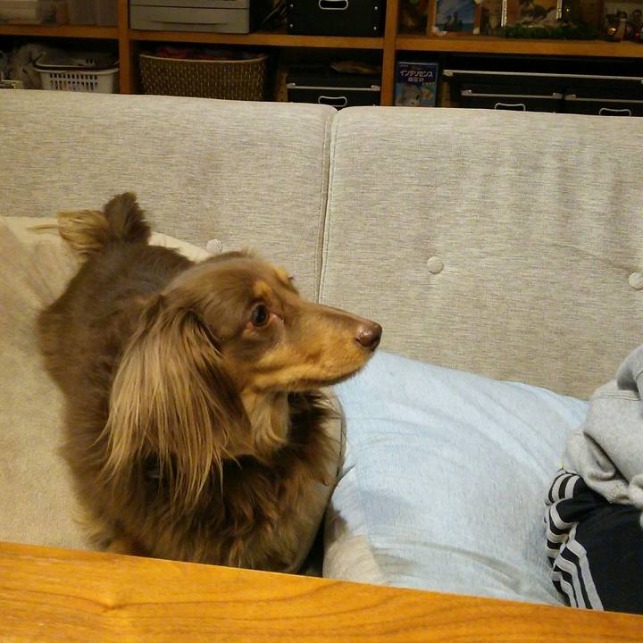 8431a4a5 275e 4034 a5b9 d54def2bf222