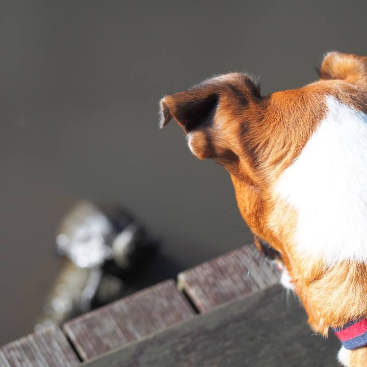 84320bc4 b0b4 4a95 a0f4 b9a59d5ace44