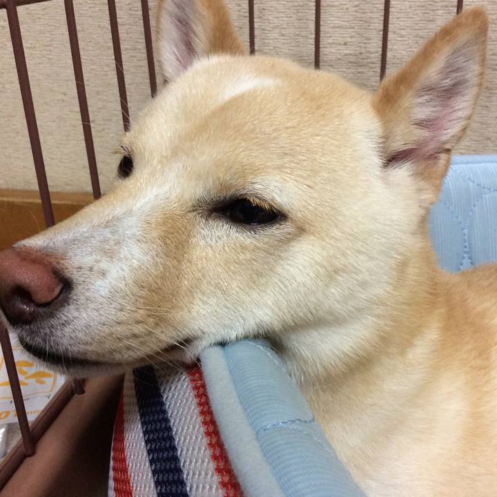 8432107b 4fc6 485a 9159 b53dc0cf4a7f